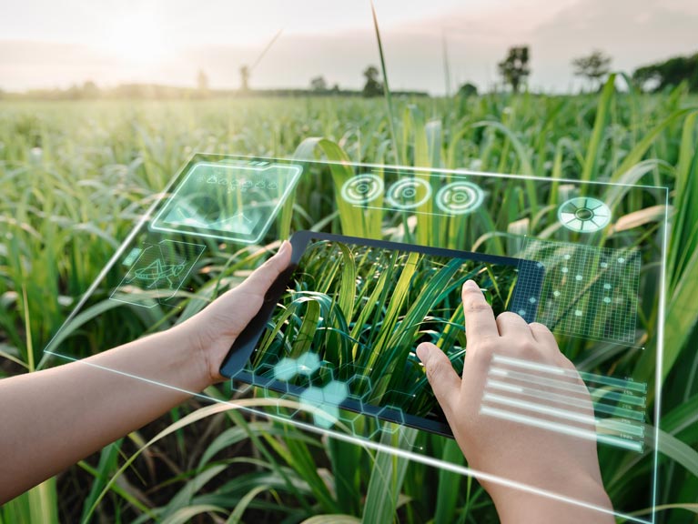 NGS Super spotlight - Inari Agriculture