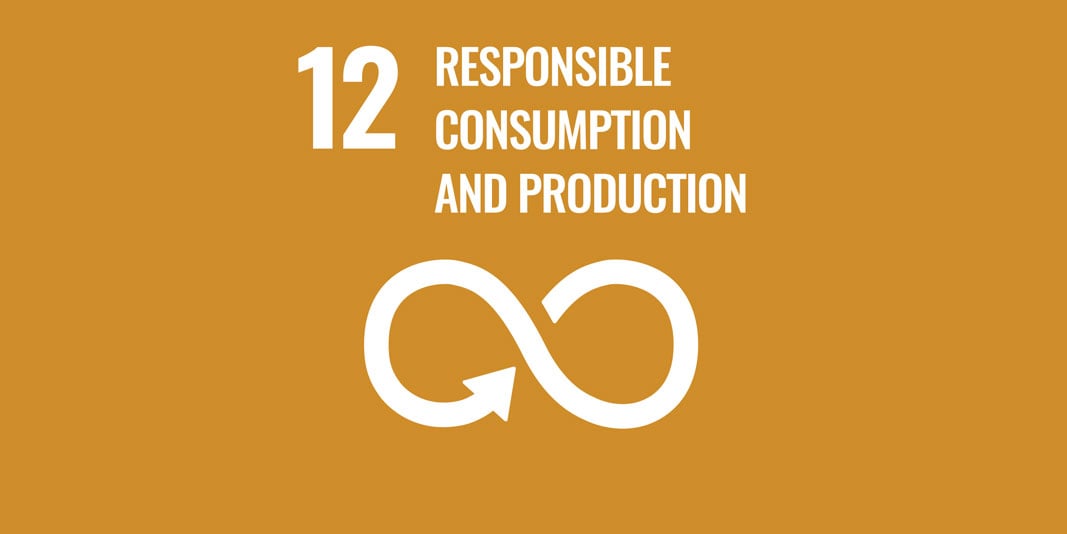 Sustainable Development Goal 12: Responsible consumption and production