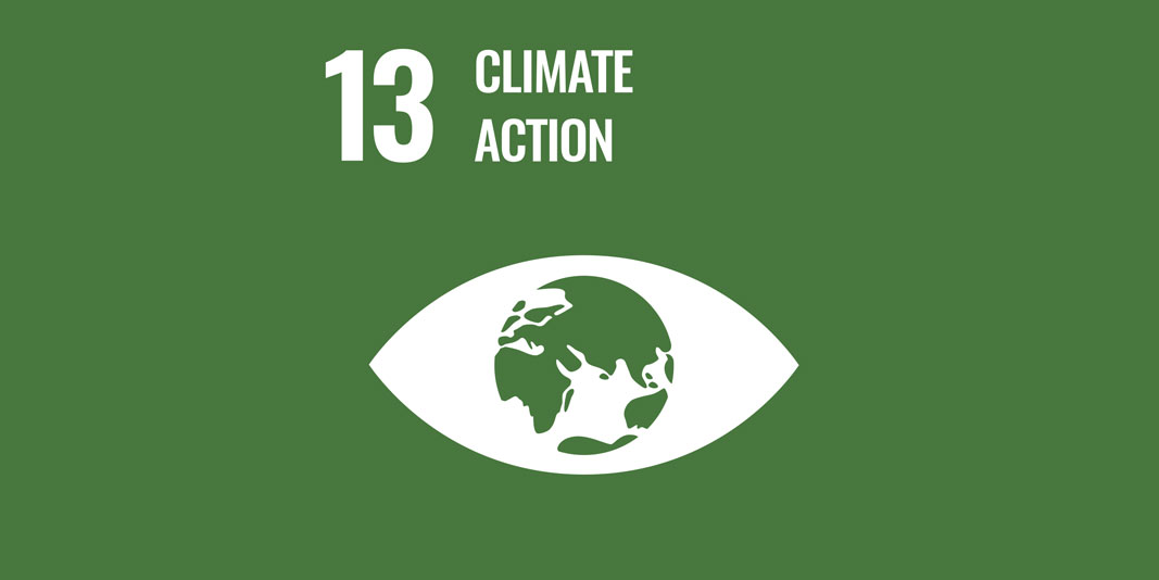 Sustainable Development Goal 13: Climate action