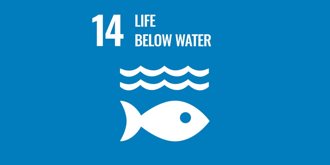 Sustainable Development Goal 14: Life below water