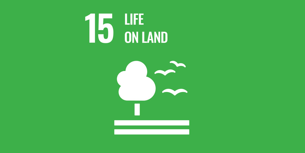 Sustainable Development Goal 15: Life on land