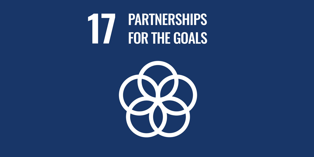 Sustainable Development Goal 17