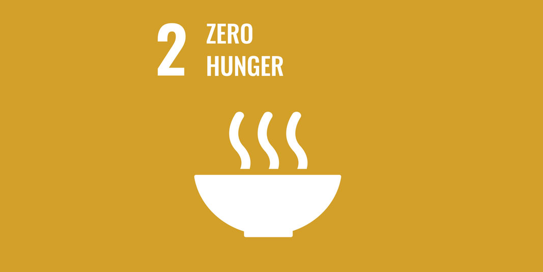 Sustainable Development Goal 2: No hunger