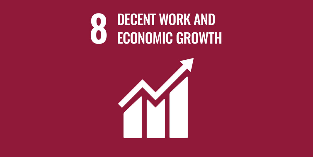 Sustainable Development Goal 8: Decent work and economic growth