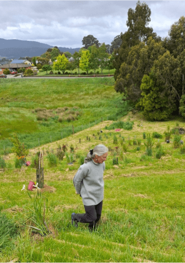 NGS member walking in her garden